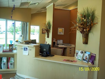 Photos of Dames Point Animal Hospital