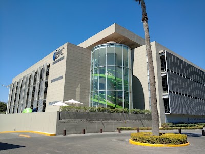 university