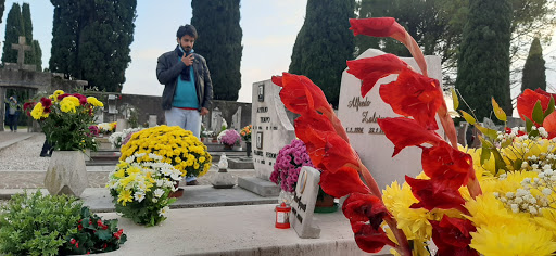 Cimitero di Santa Maria la Longa Gallery - Italy