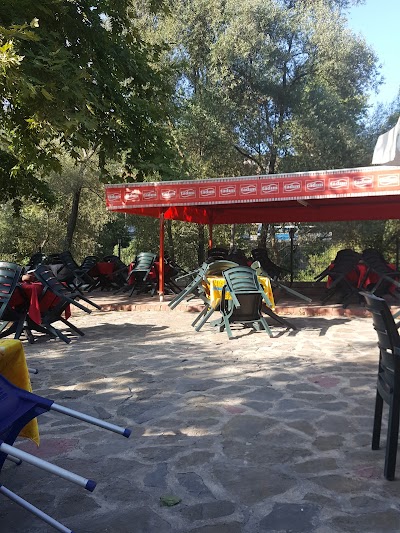 Photos of G&uuml;ryol Aile &Ccedil;ay Bah&ccedil;esi