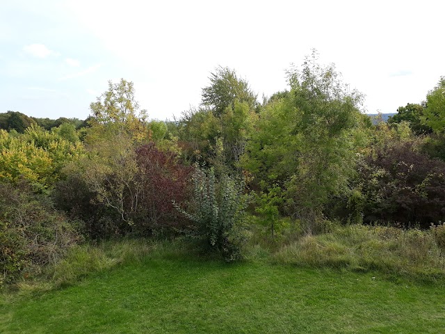 Batteries du Mont Canisy