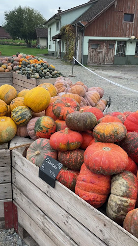 Römerhof, Jucker Farm AG - Bülach