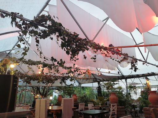 Vivero Cafe Gallery - Mexico
