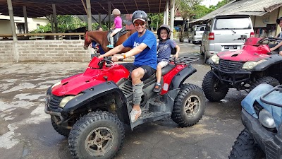 Photos of Bali Island Horse