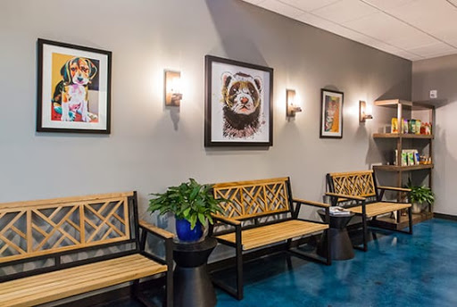 Dallas Veterinary Dentistry & Oral Surgery - Thumbnail