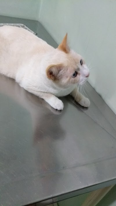 Photos of Veterin&aacute;ria Avila
