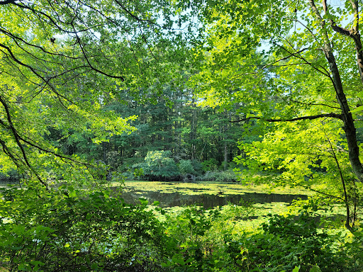 Noon Hill Reservation Trail Head - Thumbnail