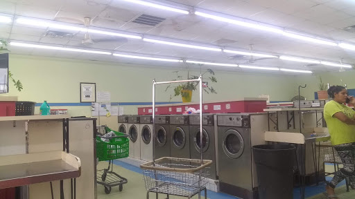 Tam Washateria Logo