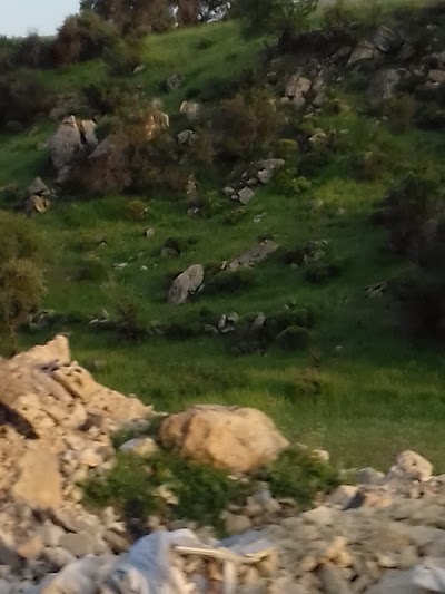 Photos of Prince Hashem Park