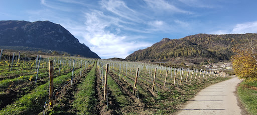 Sentiero della noce Gallery - Italy