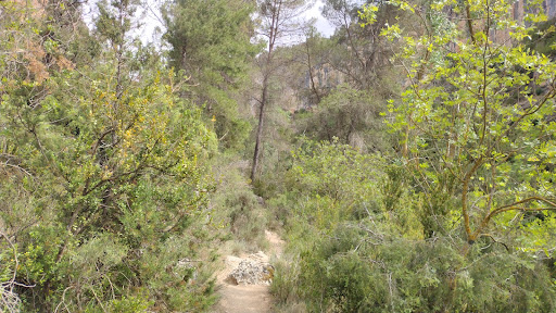 Ruta por el rio Juar Gallery - Spain