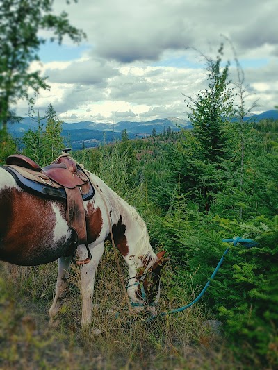 Mountain Horse Adventures