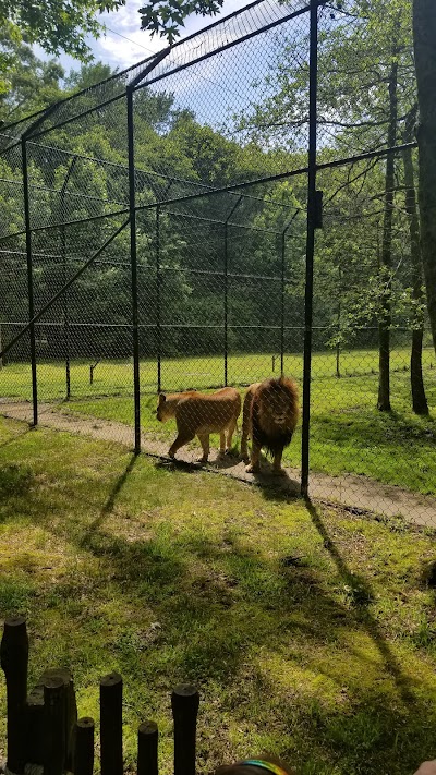 Paws and Claws Education Station