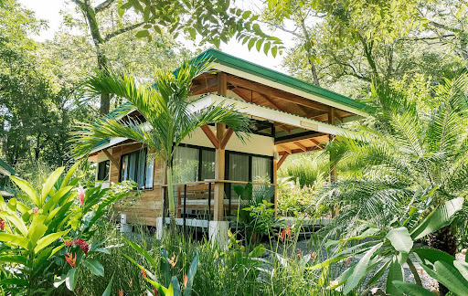 Jardin Casa Zona Azul