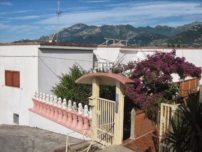 Photos of 14 Leoni