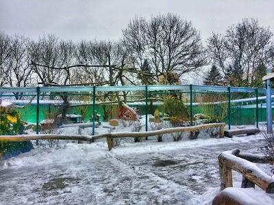 Photos of Wildtierland Hainich gemeinn&uuml;tzige GmbH