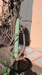 Photo n°17 de ️BECKER FAÇADE PEINTURE toiture à La Farlède (Façadier)