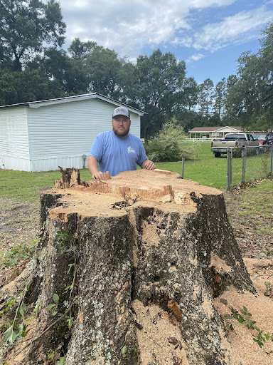 Gillis Tree Service - Thumbnail