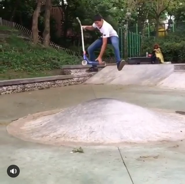 Skatepark d'Issy-les-Moulineaux / Parc Rodin
