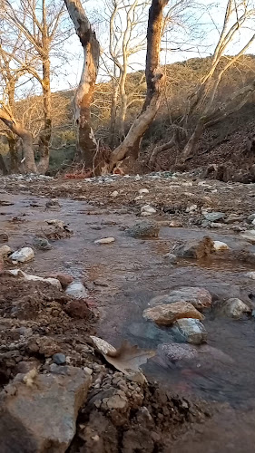 Opinii despre Χαϊντάρια în Φάρσαλα - Ένωση