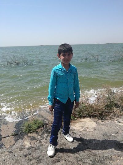 Photos of هور الدلمج