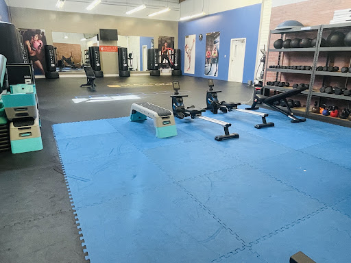 Maxfit7 - Visual