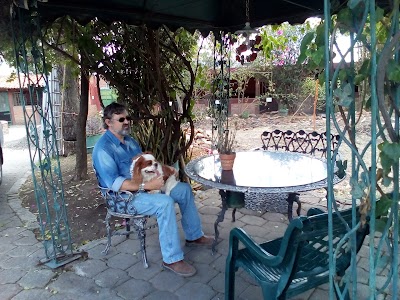 Photos of MASCOTEL