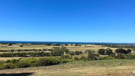 Bay of Whales Gallery Gallery - Australia