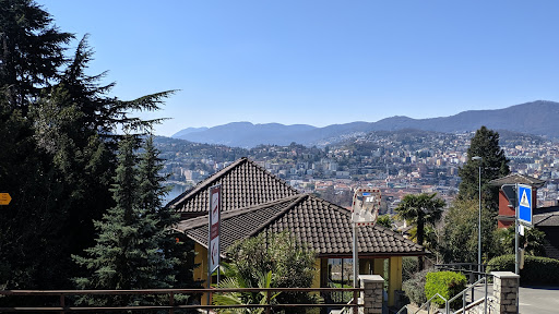 Albonago - Visual