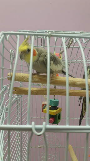 North East Discount Pet Center - Thumbnail