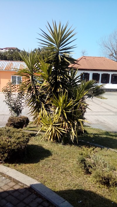 Photos of Abdulaziz Giresun Relative Park