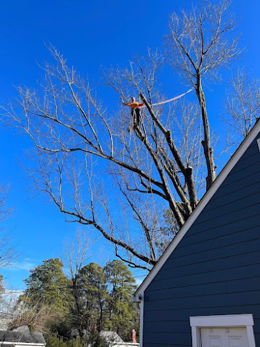 Forrest Tree Service's LLC