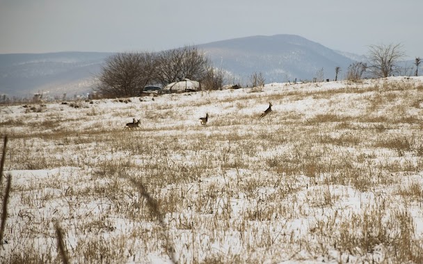 Tetétlen plateau, Author: Kababik Csaba