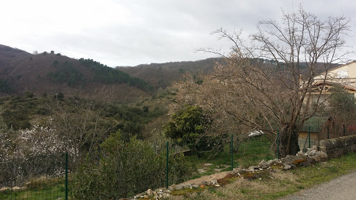 Auto 16 - Visual