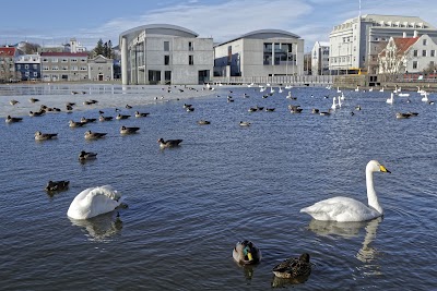 Photos of Guide to Iceland