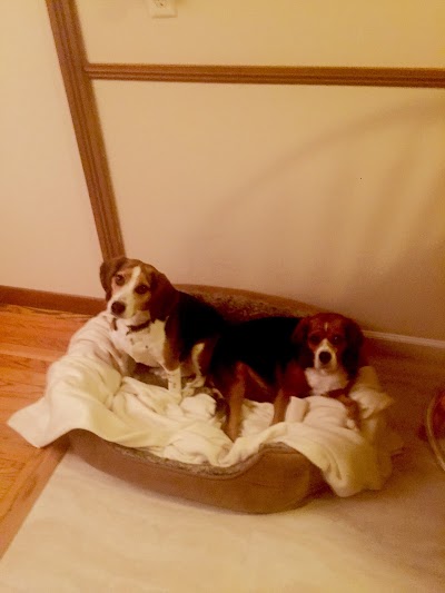 Photos of East Springfield Veterinary Hospital