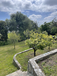 Photo n°2 de AJS Casanova Immobilier à Farinole (Agence immobilière)