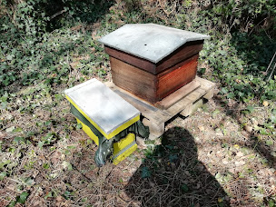 Photo n°4 de Les Ruchers De La Fuie à Bouessay (Siège social)