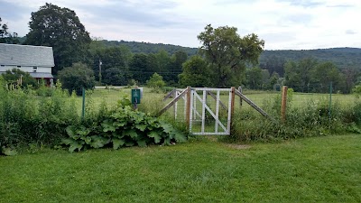 Photos of The Paw House Inn