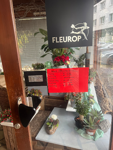 Blumen-Corso - Visual