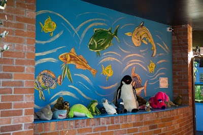 Photos of The National Kiwi Centre