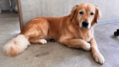 ドッグサロンＳＰＡ－ＷＡＮ