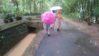 Photos of Sutris Kalipandan