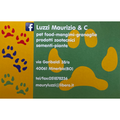 Luzzi Maurizio - Visual