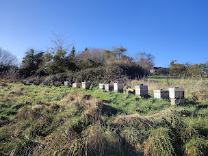 Photo n°2 de Ferme Le Cèdre à Fresné-la-Mère (Verger)