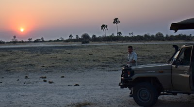 Photos of Bettys Travel Agency Trading As Lelobu Safaris