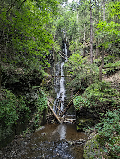 Dingmans Falls - Visual