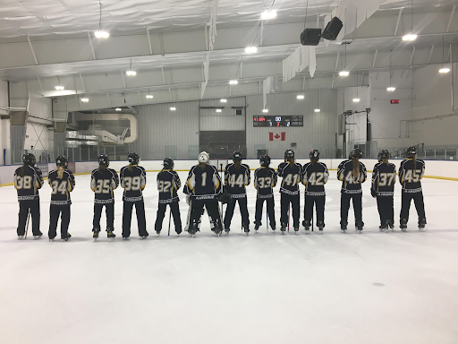 Airdrie Ringette Association Gallery - Canada