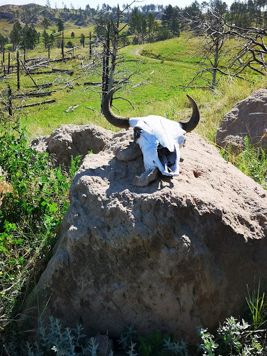 FLYING HEART RANCH