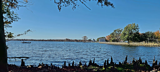 Edenton Homes